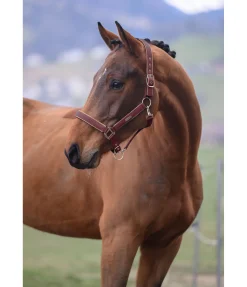 Discount Licol Glitte Licols Synthétiques