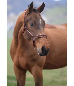 Discount Licol Glitte Licols Synthétiques