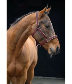 Discount Licol Glitte Licols Synthétiques