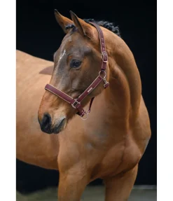 Discount Licol Glitte Licols Synthétiques