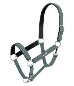 Clearance Licol Glitte Licols Synthétiques