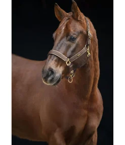 New Licol Glitte Licols Synthétiques