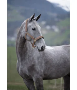 New Licol Glitte Licols Synthétiques