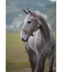 New Licol Glitte Licols Synthétiques