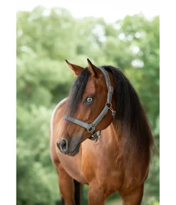 New Licol Holly Licols Synthétiques