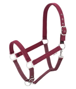 New Licol Holly Licols Synthétiques