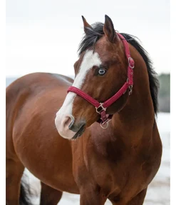 New Licol Holly Licols Synthétiques