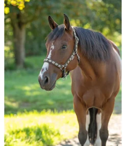 Online Licol Ikat Licols Synthétiques