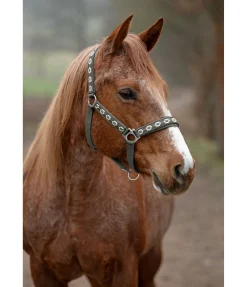 Online Licol Ikat Licols Synthétiques