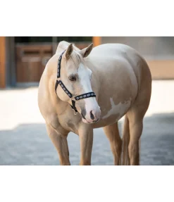 New Licol Ikat Licols Synthétiques