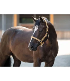 Outlet Licol Ikat Licols Synthétiques