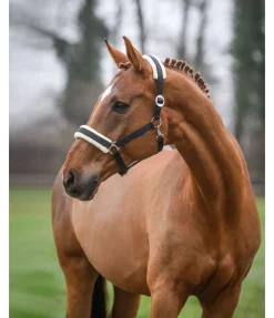 Outlet Licol Interchangeable Licols Synthétiques|Fourrure D'Agneau