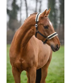 Outlet Licol Interchangeable Licols Synthétiques|Fourrure D'Agneau