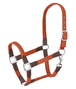 Hot Licol Kate Licols Pour Poneys & Poulains|Licols En Cuir