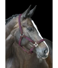 Outlet Licol Kate Licols Pour Poneys & Poulains|Licols En Cuir