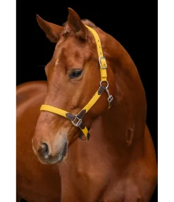 Best Licol Kate Licols Pour Poneys & Poulains|Licols En Cuir