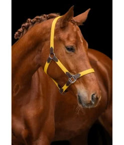 Best Licol Kate Licols Pour Poneys & Poulains|Licols En Cuir