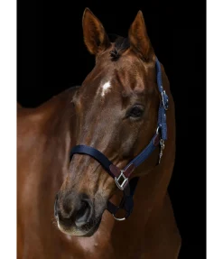 Online Licol Kate Licols Pour Poneys & Poulains|Licols En Cuir