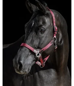 New Licol Kate Licols Pour Poneys & Poulains|Licols En Cuir