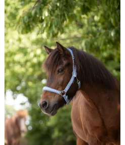 Clearance Licol Kóngur Licols Synthétiques