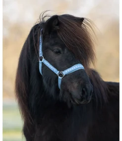 Clearance Licol Kóngur Licols Synthétiques