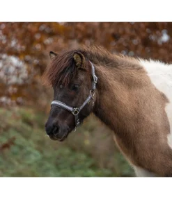 Outlet Licol Kóngur Licols Synthétiques