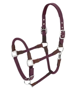 New Licol Meghan Licols Pour Poneys & Poulains|Licols En Cuir