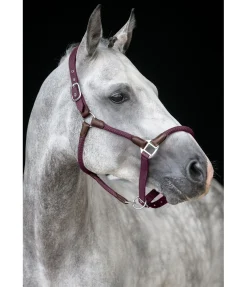 New Licol Meghan Licols Pour Poneys & Poulains|Licols En Cuir