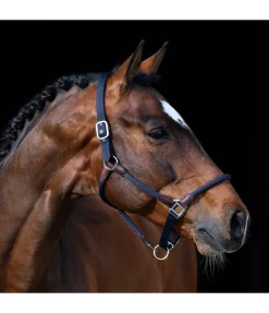 New Licol Meghan Licols Pour Poneys & Poulains|Licols En Cuir