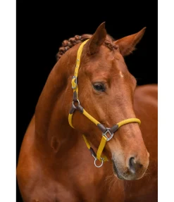 Discount Licol Meghan Licols Pour Poneys & Poulains|Licols En Cuir