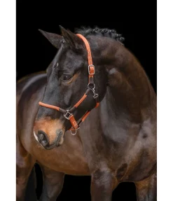 Sale Licol Meghan Licols Pour Poneys & Poulains|Licols En Cuir