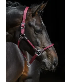 Discount Licol Meghan Licols Pour Poneys & Poulains|Licols En Cuir