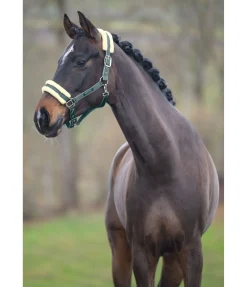 Hot Licol Night Sky Licols Synthétiques