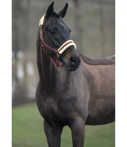 Hot Licol Night Sky Licols Synthétiques