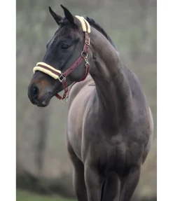 Hot Licol Night Sky Licols Synthétiques