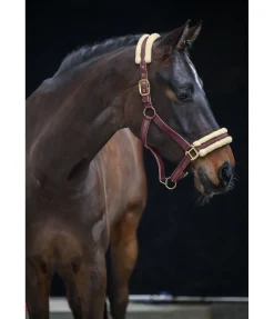 Hot Licol Night Sky Licols Synthétiques