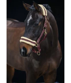 Hot Licol Night Sky Licols Synthétiques