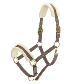 Online Licol Night Sky Licols Synthétiques