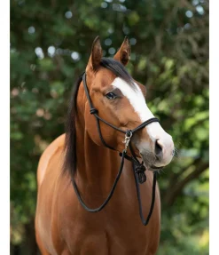 Sale Licol à noeuds Licols À Noeuds