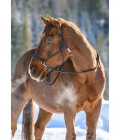 Sale Licol à noeuds Licols À Noeuds