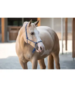 Outlet Licol à noeuds Beaded Licols À Noeuds