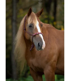 Hot Licol à noeuds Beaded Licols À Noeuds