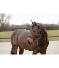 Hot Licol à noeuds Beaded Licols À Noeuds