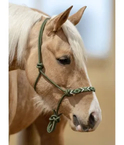 Hot Licol à noeuds Beaded Licols À Noeuds