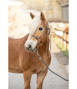 Licol à noeuds Haylie Licols À Noeuds