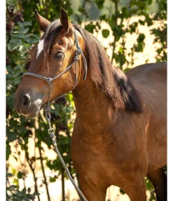 Licol à noeuds Haylie Licols À Noeuds