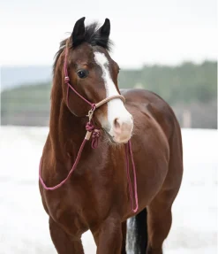 Clearance Licol à noeuds Lino Licols À Noeuds