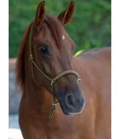 Outlet Licol à noeuds Lino Licols À Noeuds