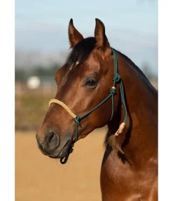 Outlet Licol à noeuds Lino Licols À Noeuds