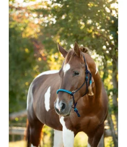 Hot Licol à noeuds Lino Licols À Noeuds